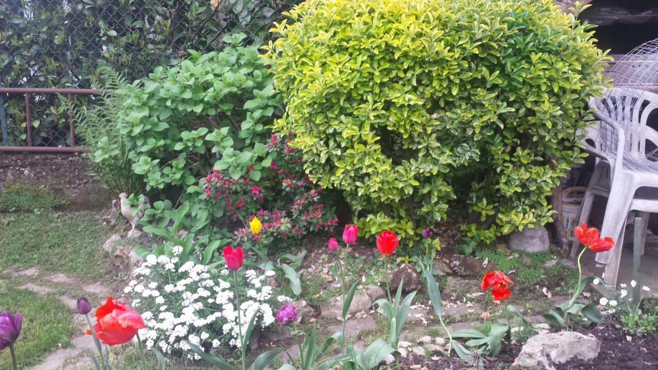 بيرغامو B&B Il Patio المظهر الخارجي الصورة